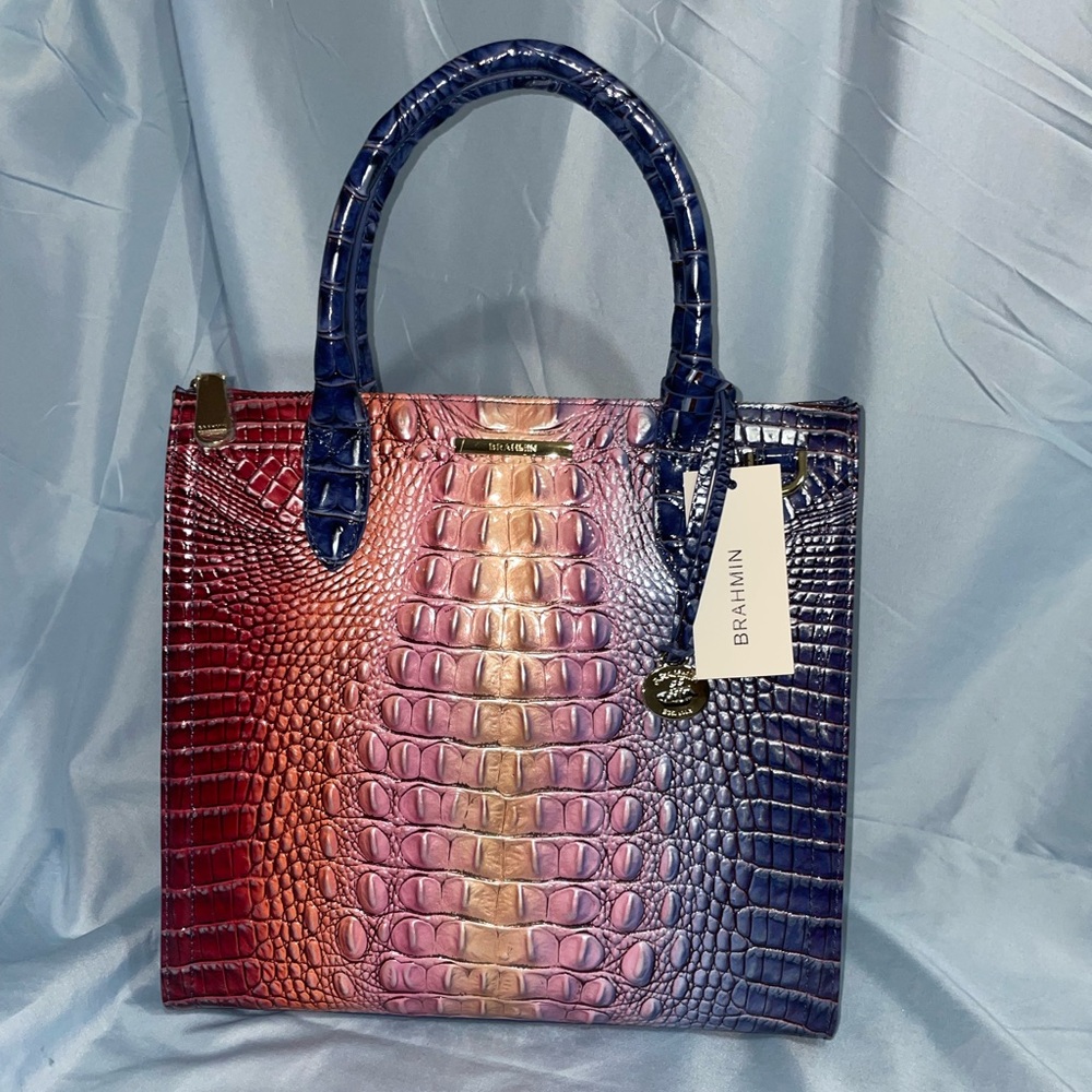 Caroline Dreamer Ombre Melbourne Brahmin Purse